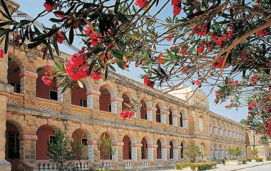 MediCampus Europeo - Faculty of Medicine